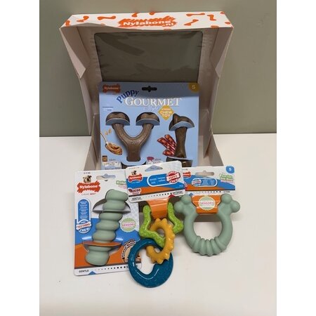 Nylabone Giftbox - Puppy Feestbox