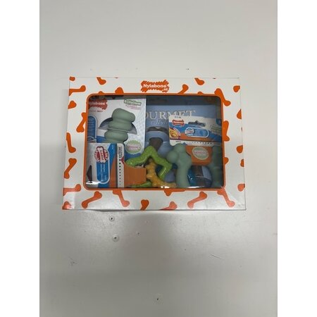 Nylabone Giftbox - Puppy Feestbox
