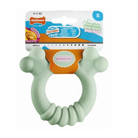 Nylabone Giftbox - Puppy Feestbox