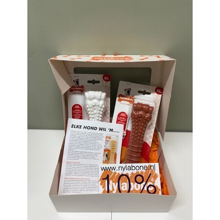Nylabone Giftbox - XL