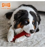 Nylabone Basted Blast – Bacon & Steak Dubbele Smaak XL