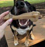 Nylabone Strong Chew Gourmet Style Original  en  Femur Bone  Large – Duo Pack