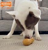 Nylabone Strong chew peanut spread toy peanut butter medium