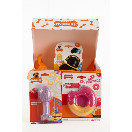 Nylabone Sint Special Edition Box Medium