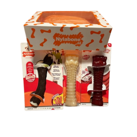 Nylabone Sint Special Edition Box XL