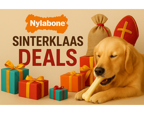 Sinterklaas Deals