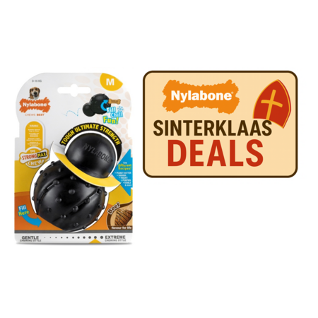 Nylabone Sint Special Edition Box Medium