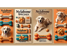 Nylabone Specials / Cadeaus