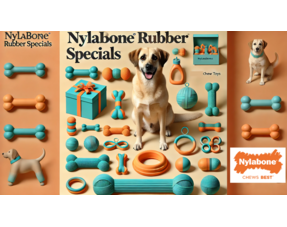  Nylabone rubber