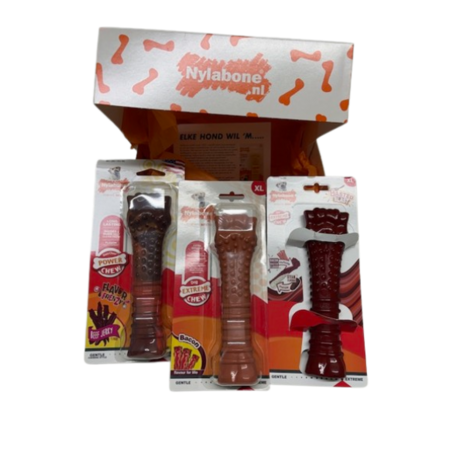 Nylabone Kerst Giftbox XL – Het perfecte kerstcadeau voor grote honden (23+ kg)