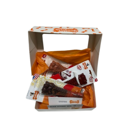 Nylabone Kerst Giftbox XL – Het perfecte kerstcadeau voor grote honden (23+ kg)