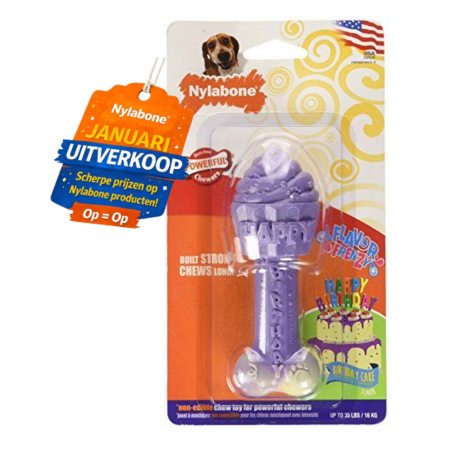 Nylabone Flavor Frenzy Dura Chew Birthday Cake – Wolf (medium)