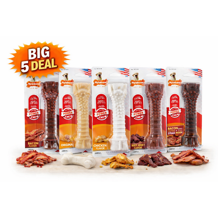 Nylabone Power Chew Pack XL – 5-Smaak Superdeal