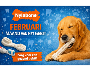  Maand van het Gebit (Februari)
