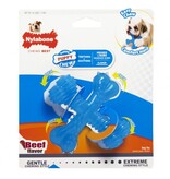 Nylabone Puppy X Bone – Kauwbot voor Puppy’s  Small