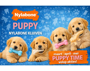 Nylabone  Puppy Time