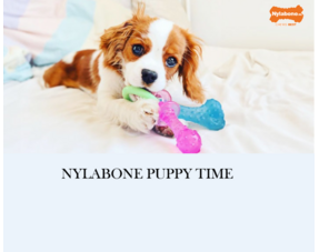 AKTIE-MAART-APRIL-MEI 