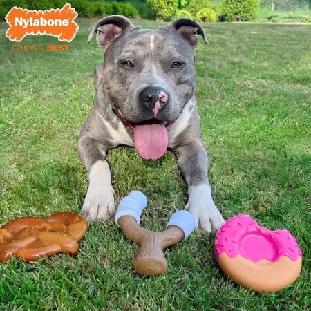 Nylabone Ultimate Chew Box 3-Pack Fun. Binnekort verkrijgbaar!!