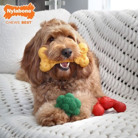 Nylabone Power Chew Fun Food Bundle 3-Pack