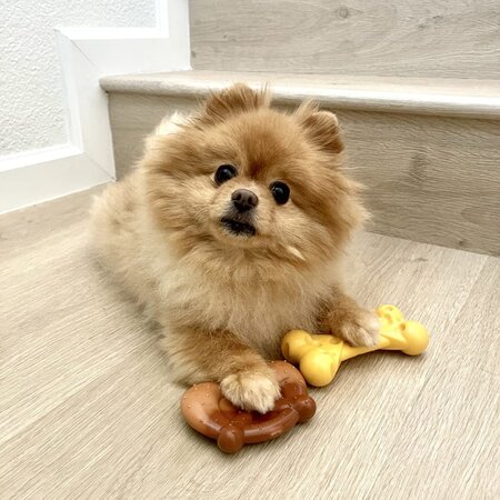 Nylabone Power Chew Fun Food Bundle 3-Pack  Small-Medium