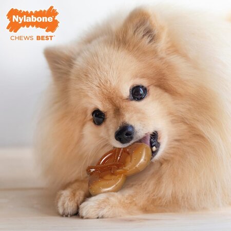 Nylabone Power Chew Pretzel Dog Chew Toy Small