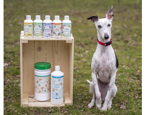 Droogshampoo hond