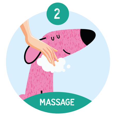 Nilaqua Puppy droogshampoo