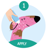 Nilaqua Droogshampoo voor de oudere hond