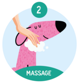 Nilaqua Droogshampoo voor de oudere hond