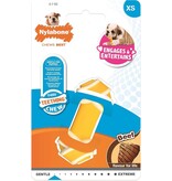 Nylabone Puppy Chew Knot XS – Kauwspeeltje voor Pups tot 7 kg