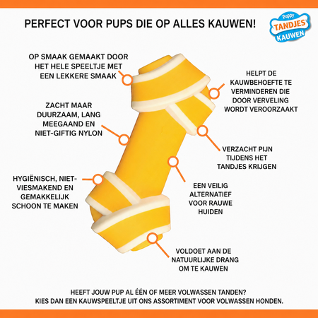 Nylabone Puppy Chew Knot XS – Kauwspeeltje voor Pups tot 7 kg