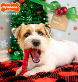 Nylabone Power Chew Holiday Bone Medium Beef – Het perfecte kerstcadeau voor krachtige kauwers