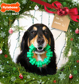 Nylabone Power Chew Holiday Ring XL met frisse wintergreen smaak