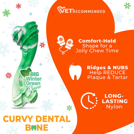 Nylabone Holiday Curvy Dental Bone. Extra sterk kauwbot met Wintergreen smaak voor krachtige kauwers tot 23 kg
