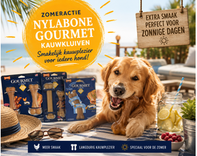 Zomeractie –  Gourmet Style
