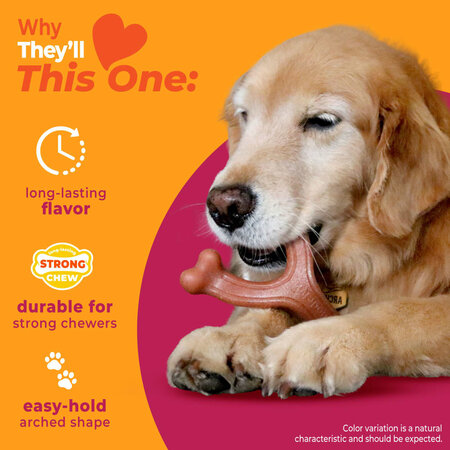 Nylabone Strong Chew Wishbone – Baconsmaak  Large (Real Taste)