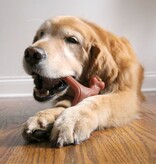 Nylabone Strong Chew Wishbone – Baconsmaak  Large (Real Taste)