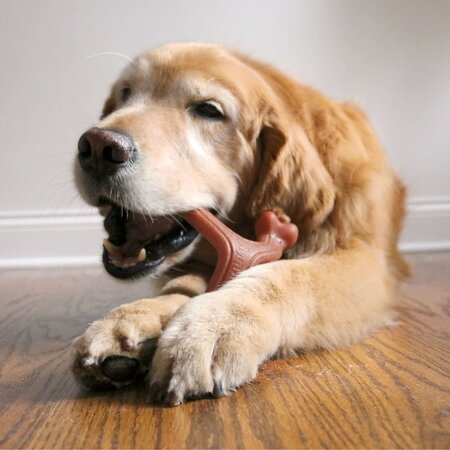 Nylabone Strong Chew Wishbone – Baconsmaak  Large (Real Taste)