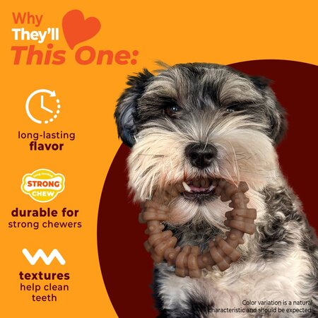 Nylabone Strong Chew Textured Ring – Rund & Kip Small/Medium (Real Taste)