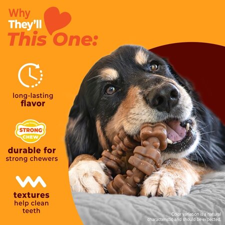 Nylabone Strong Chew Textured Ring – Rund & Kip xl Real Taste