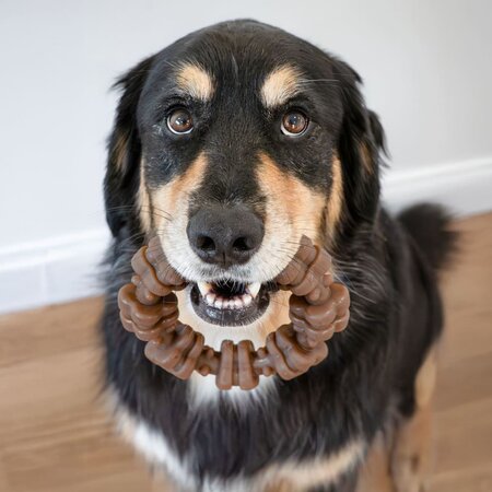 Nylabone Strong Chew Textured Ring – Rund & Kip xl Real Taste