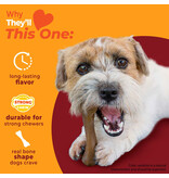 Nylabone Strong Chew Femur Bone – Bizon & Hert Small/Medium Real Taste