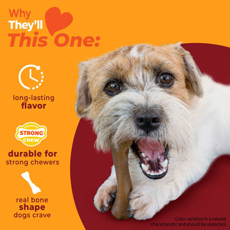 Nylabone Strong Chew Femur Bone – Bizon & Hert Small/Medium Real Taste