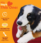 Nylabone Strong Chew Femur Bone Large – Bizon & Hert  (Real Taste)