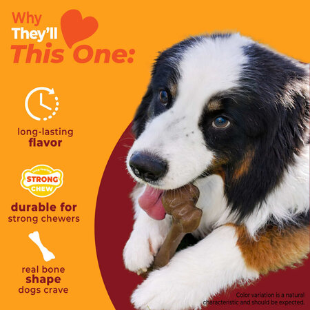Nylabone Strong Chew Femur Bone Large – Bizon & Hert  (Real Taste)