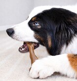 Nylabone Strong Chew Femur Bone Large – Bizon & Hert  (Real Taste)