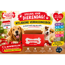 Verrassingsbox XL