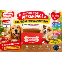 Verrassingsbox XL