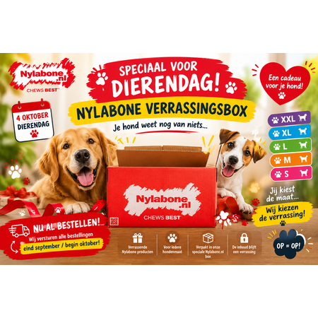 Nylabone Dierendag Verrassingsbox XL
