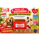 Nylabone Dierendag Verrassingsbox pup Small